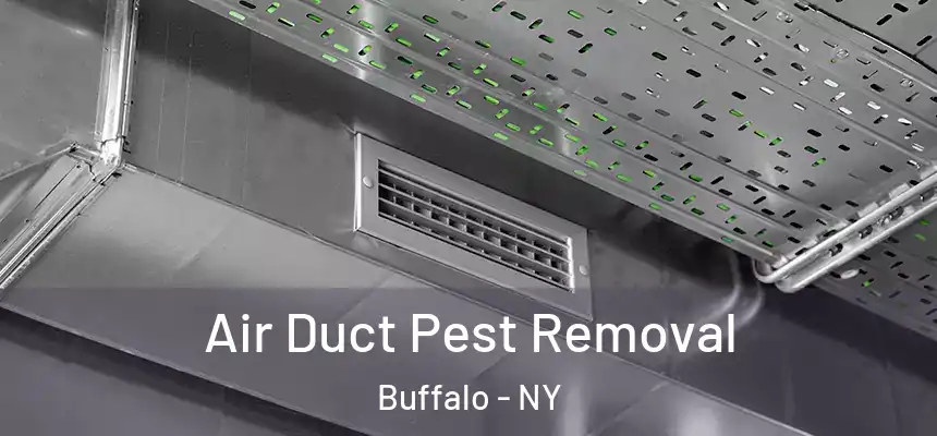 Air Duct Pest Removal Buffalo - NY