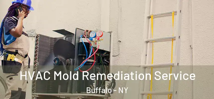  HVAC Mold Remediation Service Buffalo - NY