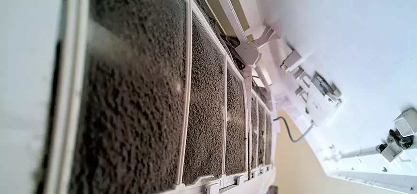 Preventive Air Duct Bacteria Removal in Buffalo