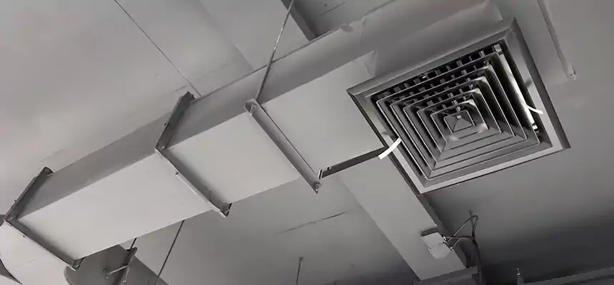 Restorative Allergy Relief Vent Cleaning – Coil, Blower & Housing Detail in Buffalo