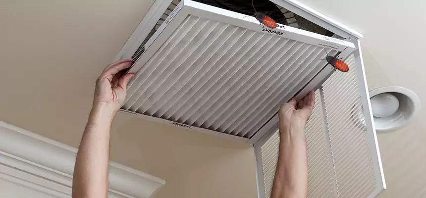 Our Insect Removal from Air Ducts Services in Buffalo, NY