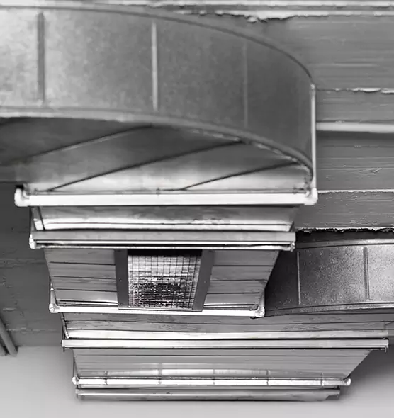 Professional Air Duct Pest Removal in Buffalo, NY