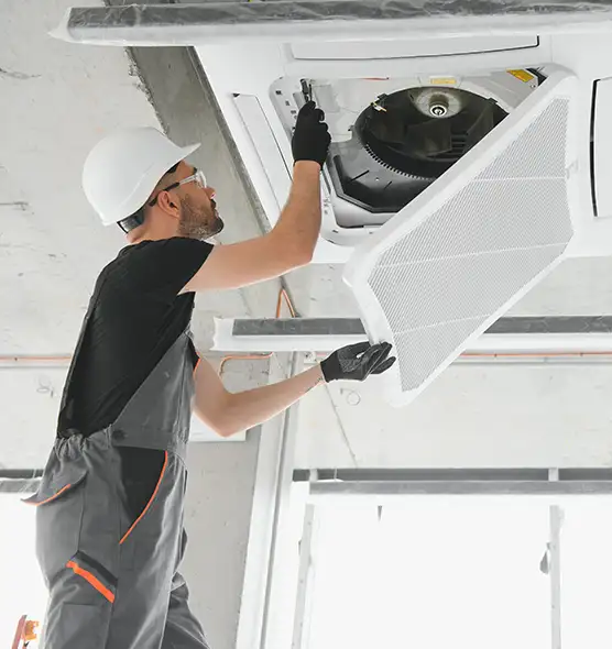 About Air Duct Rodent Removal in Buffalo, NY