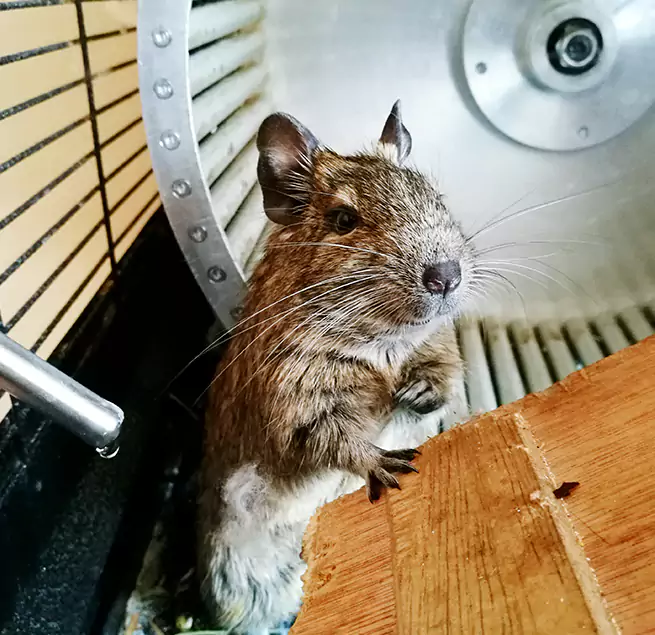 Why Homeowners & Businesses Trust Us Buffalo, NY