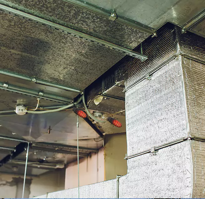 Why Homeowners & Businesses Trust Us Buffalo, NY?