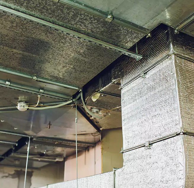 Why Homeowners & Businesses Trust Us in Buffalo, NY?